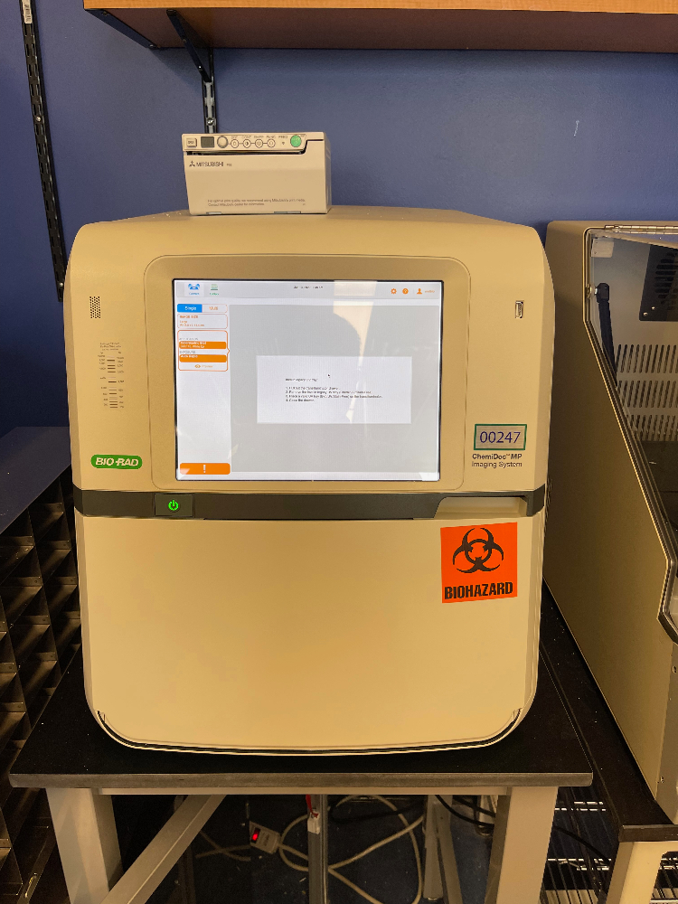 Image of Bio-Rad ChemiDoc MP Imaging System